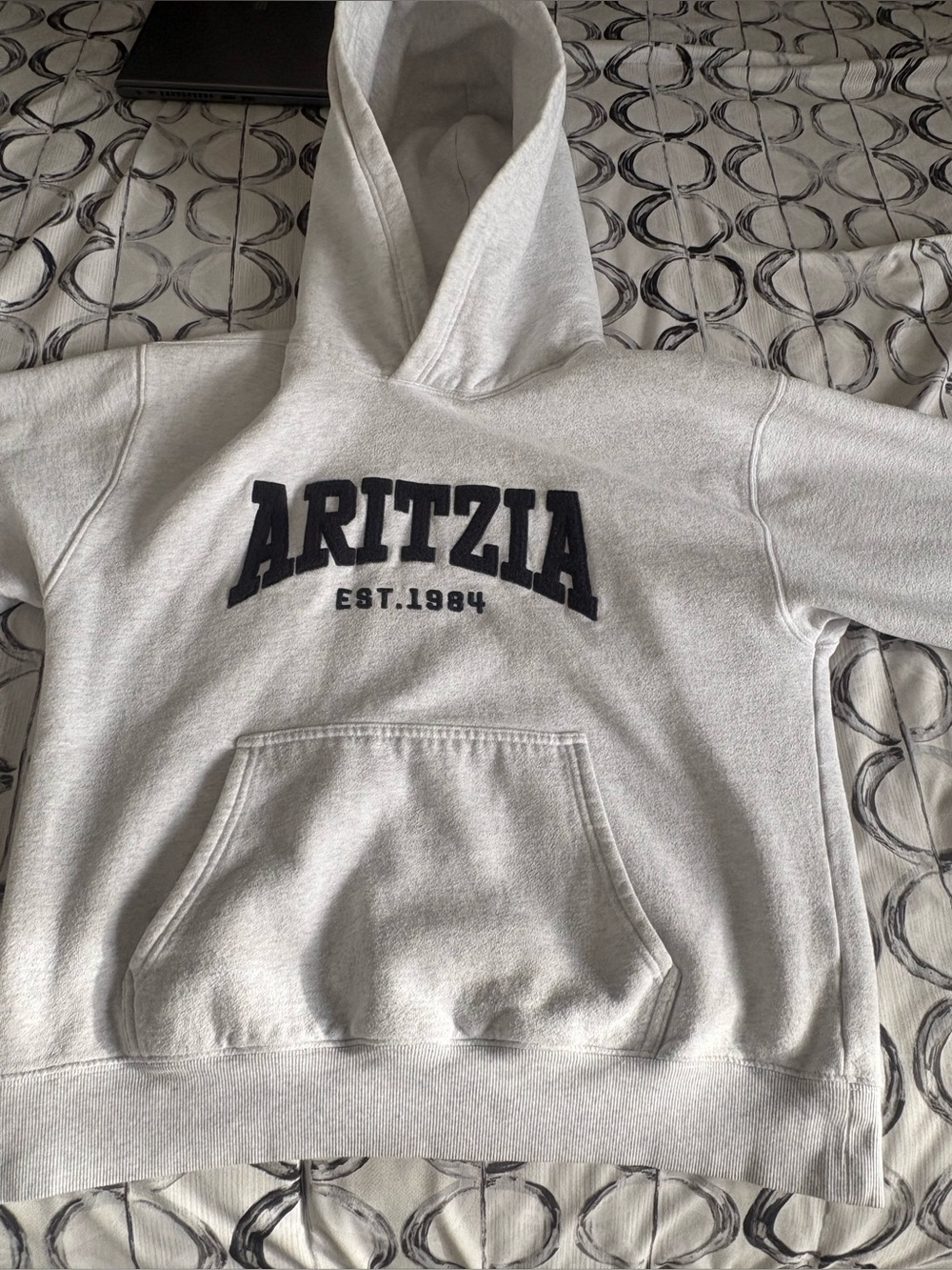 Aritzia
Cozy Sweatfleece Perfect Hoodie
